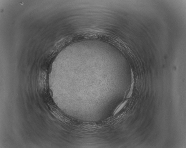 X0000082690964200702091653