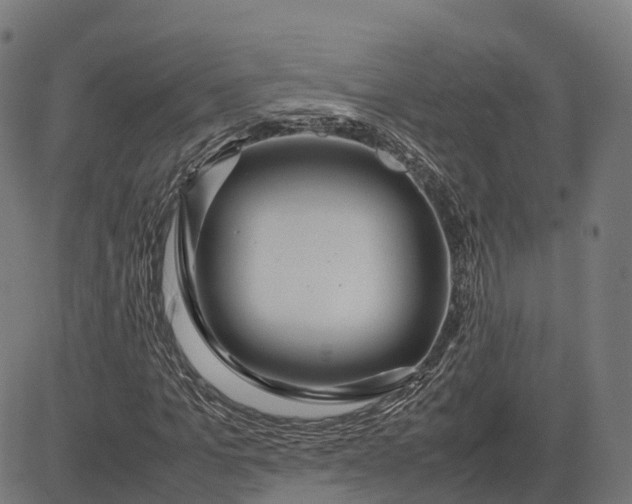 X0000082690965200702091653