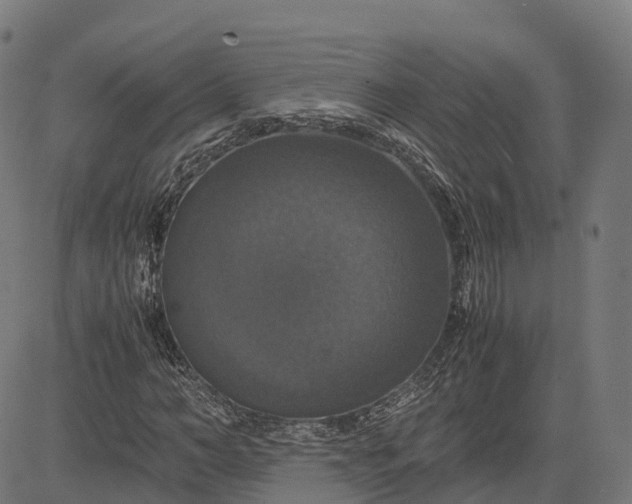 X0000082690966200702091653