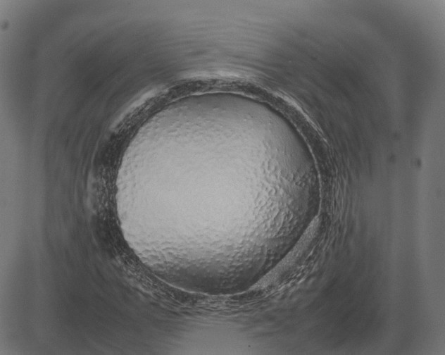 X0000082690967200702091653