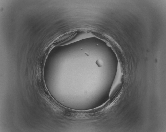 X0000082690969200702091653