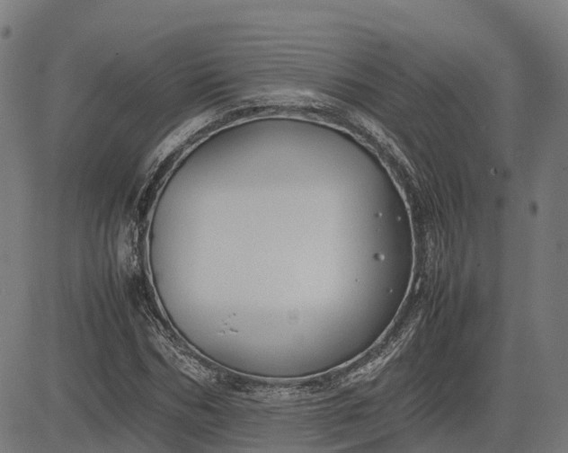 X0000082690970200702091653