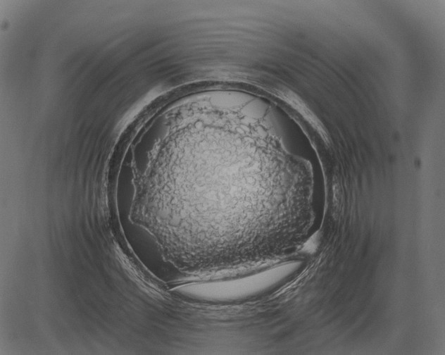 X0000082690972200702091653