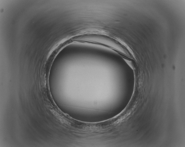 X0000082690973200702091653