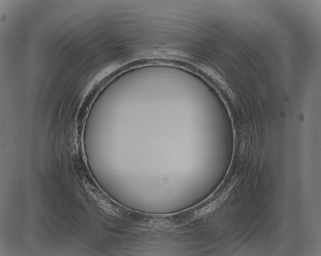 X0000082690974200702091653