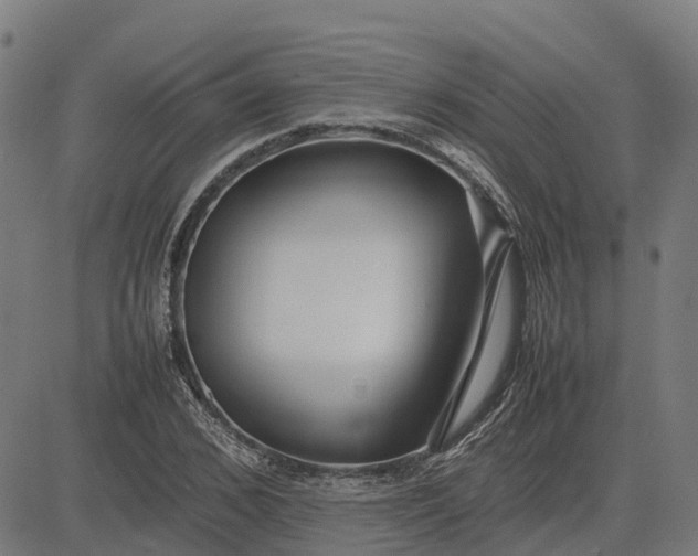 X0000082690976200702091653