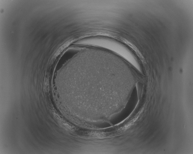 X0000082690977200702091653