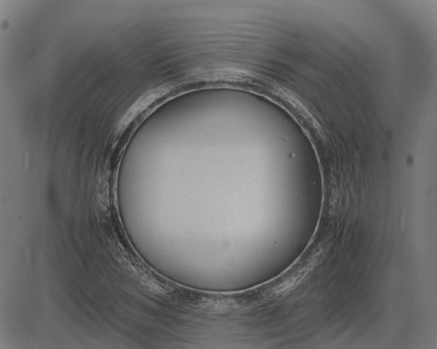 X0000082690978200702091653