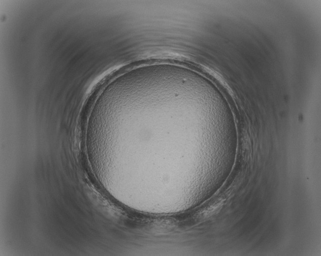 X0000082690979200702091653