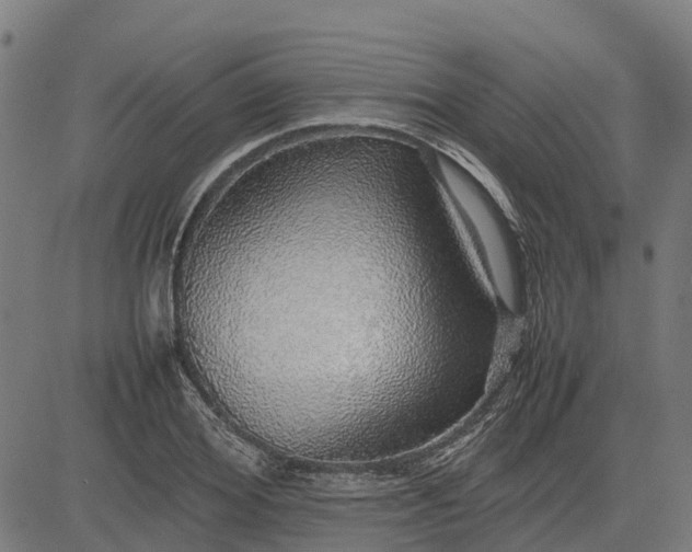 X0000082690980200702091653