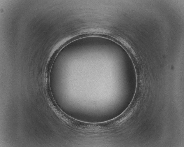 X0000082690981200702091653