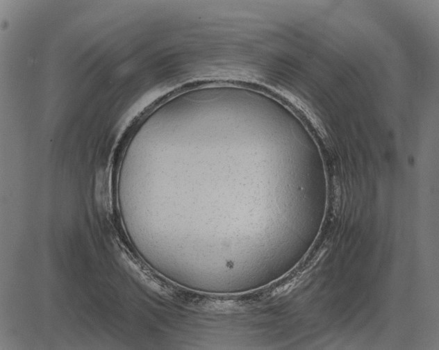 X0000082690982200702091653