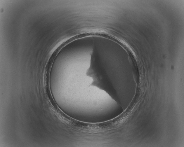 X0000082690983200702091653