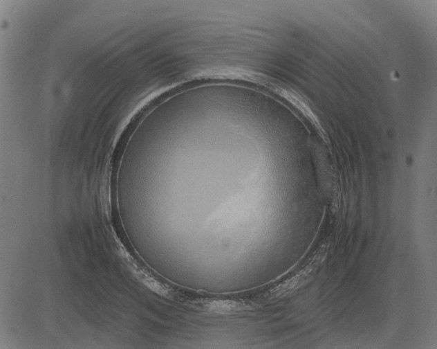 X0000082690984200702091653