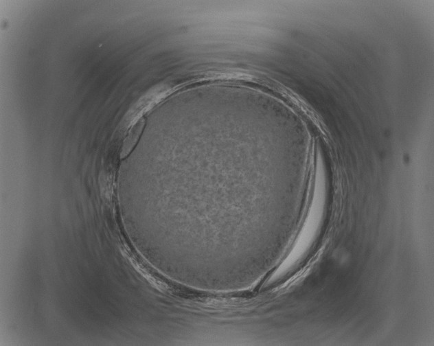 X0000082690985200702091653