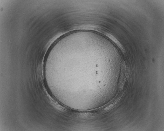 X0000082690988200702091653