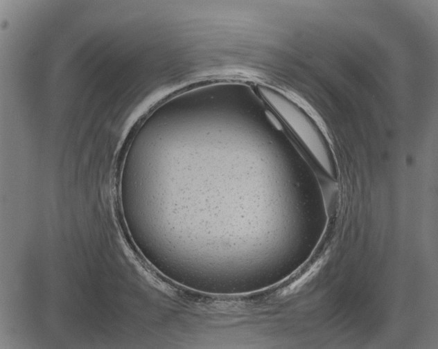 X0000082690989200702091653