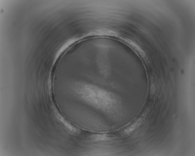 X0000082690990200702091653