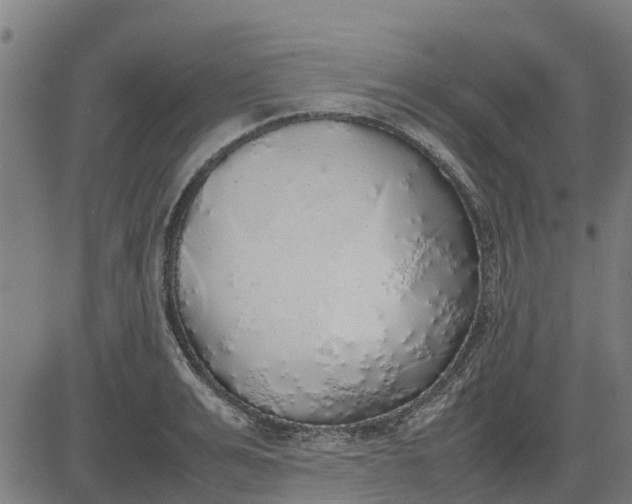 X0000082690991200702091653