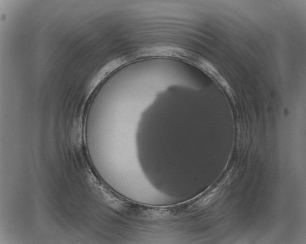 X0000082690994200702091653