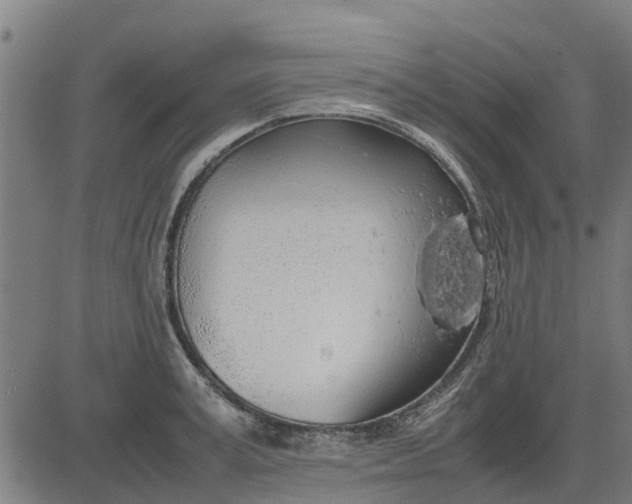 X0000082690995200702091653