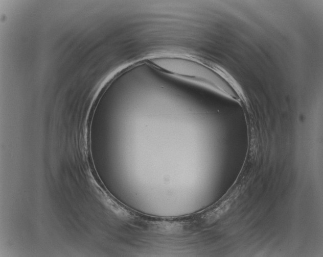 X0000082690996200702091653