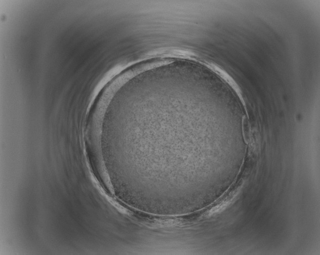 X0000082690997200702091653