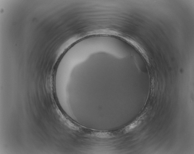 X0000082690998200702091653