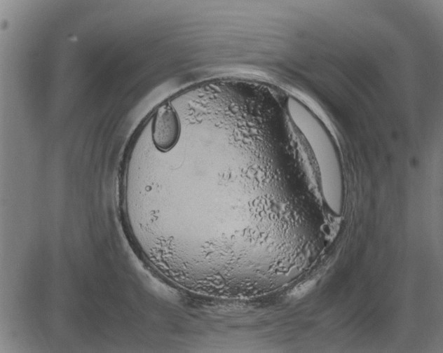 X0000082690999200702091653