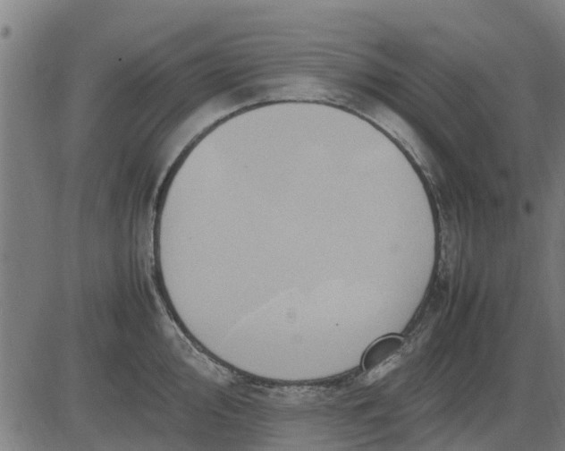 X0000082691000200702091653