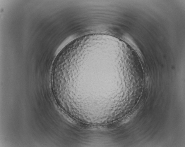 X0000082691002200702091653