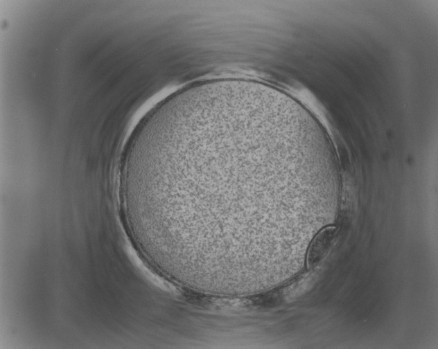 X0000082691003200702091652