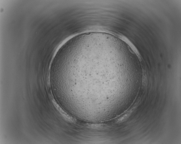 X0000082691004200702091652