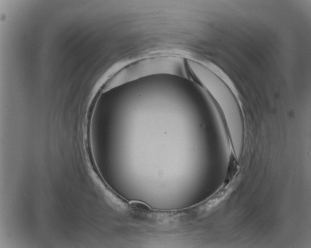 X0000082691005200702091652