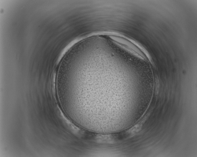 X0000082691006200702091652