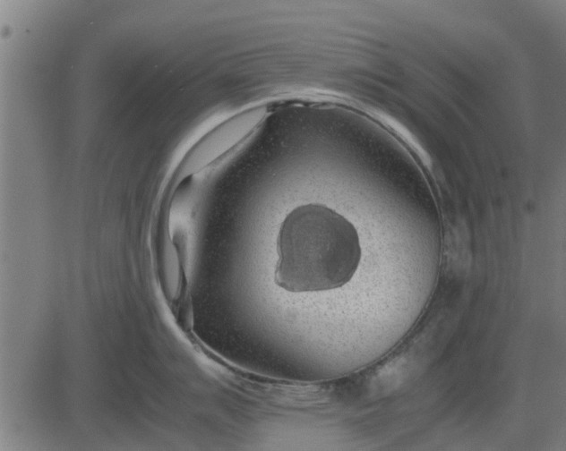 X0000082691007200702091652