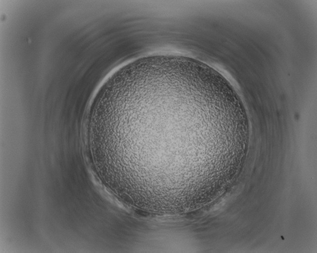 X0000082691008200702091652