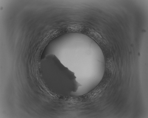 X0000082691009200702091652