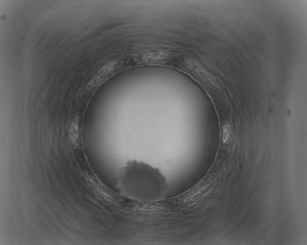 X0000082691011200702091652