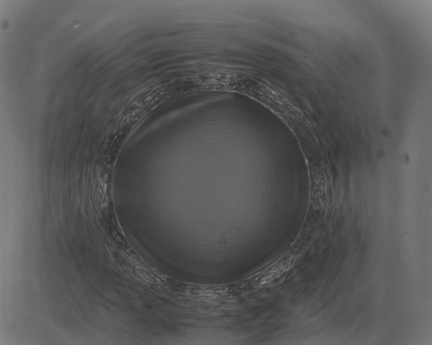 X0000082691013200702091652