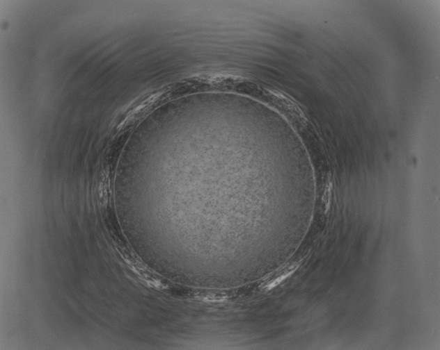 X0000082691014200702091652