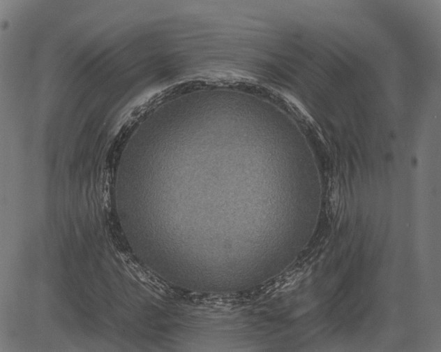 X0000082691016200702091652