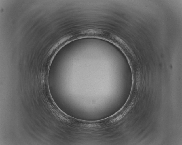 X0000082691017200702091652