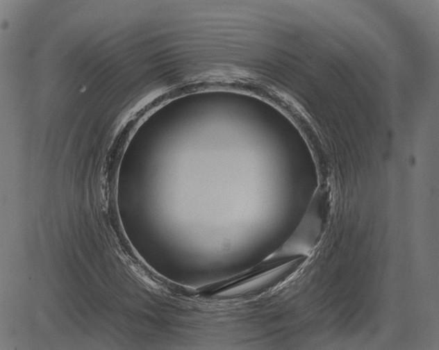 X0000082691018200702091652