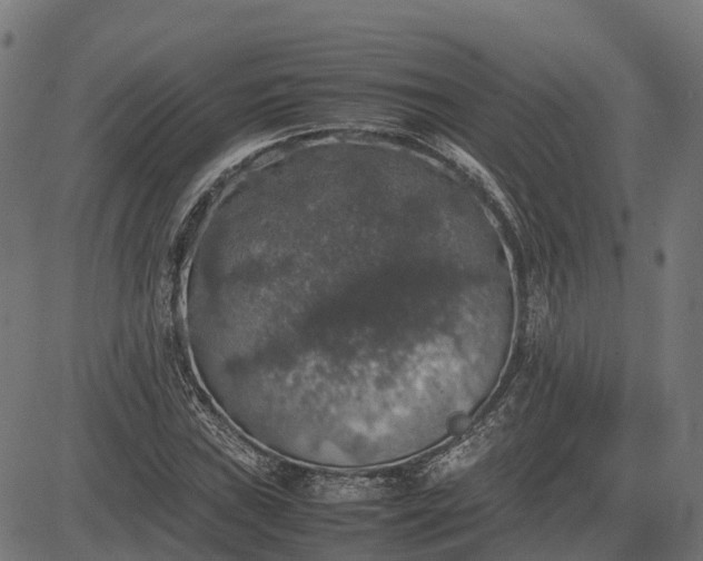 X0000082691019200702091652