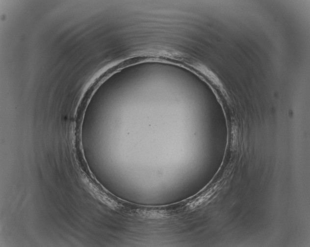 X0000082691020200702091652