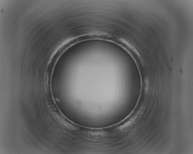 X0000082691021200702091652