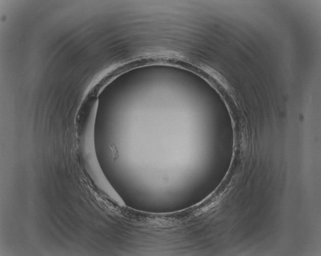 X0000082691022200702091652