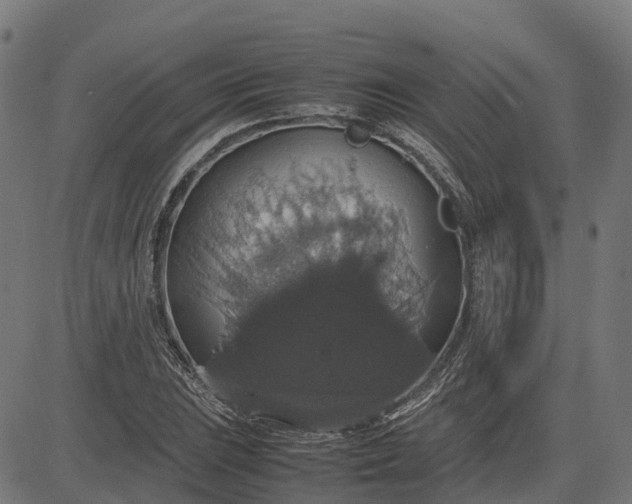 X0000082691023200702091652