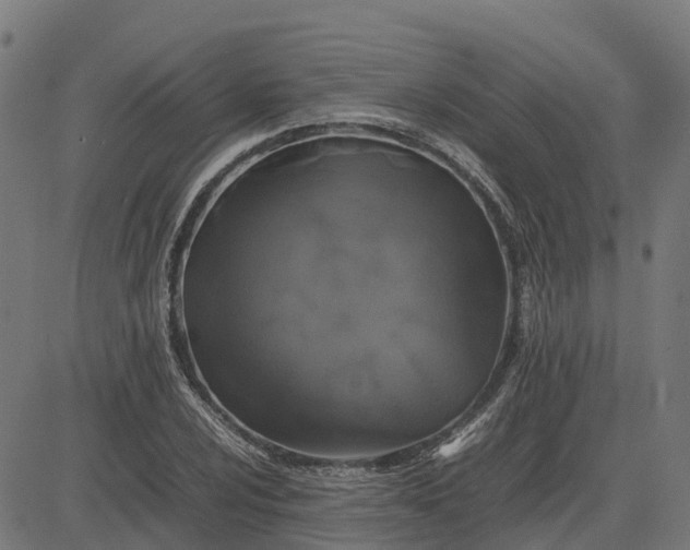 X0000082691024200702091652